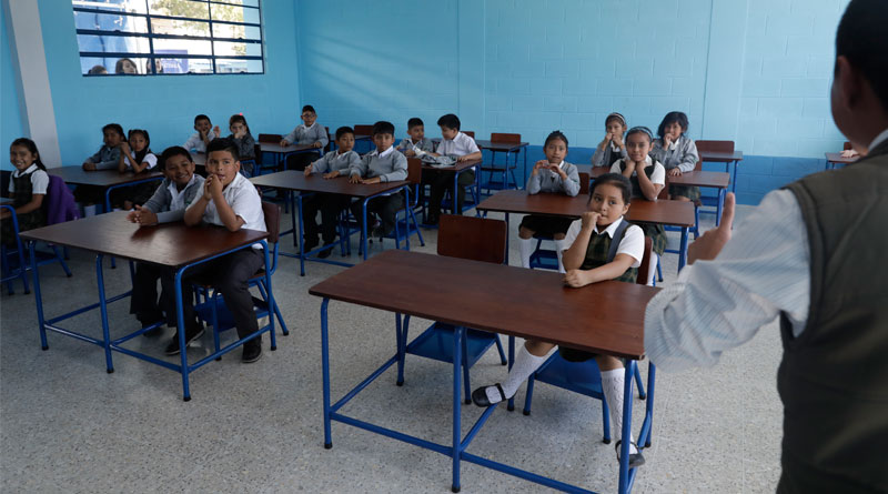 Educación de La Laguna distribuye 1.300 kits antipiojos en los CEIP del  municipio