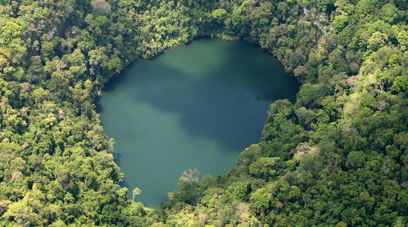 Se Unen Para Proteger Y Conservar Los Bosques Diario De Centro América 0585