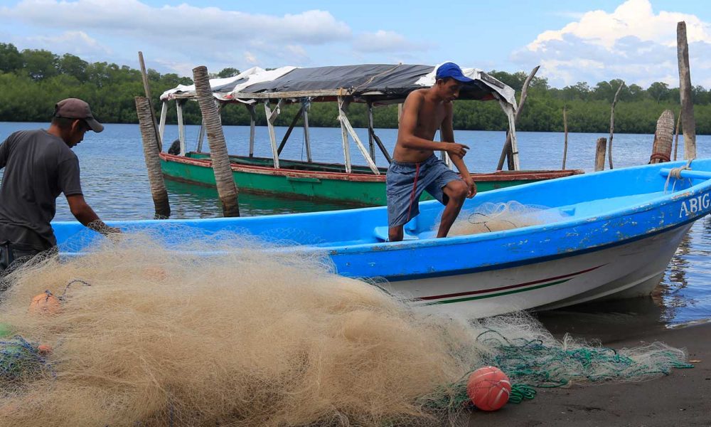 Tenemos disponibles - Pesqueros de Guatemala S.A.