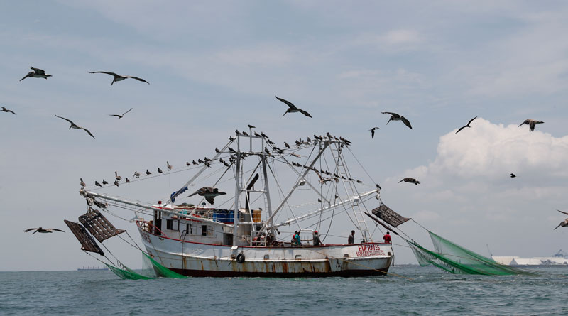 Pescar con responsabilidad – Diario de Centro América