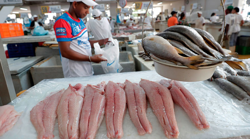 Pesqueros de Guatemala S.A. - Cajas de pesca, diferentes estilos y tamaños.  Aprovecha los super descuentos por el #BONO14. #PesquerosdeGuatemala