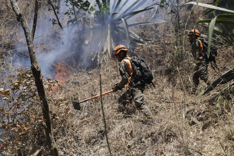 Incendios dañan 1