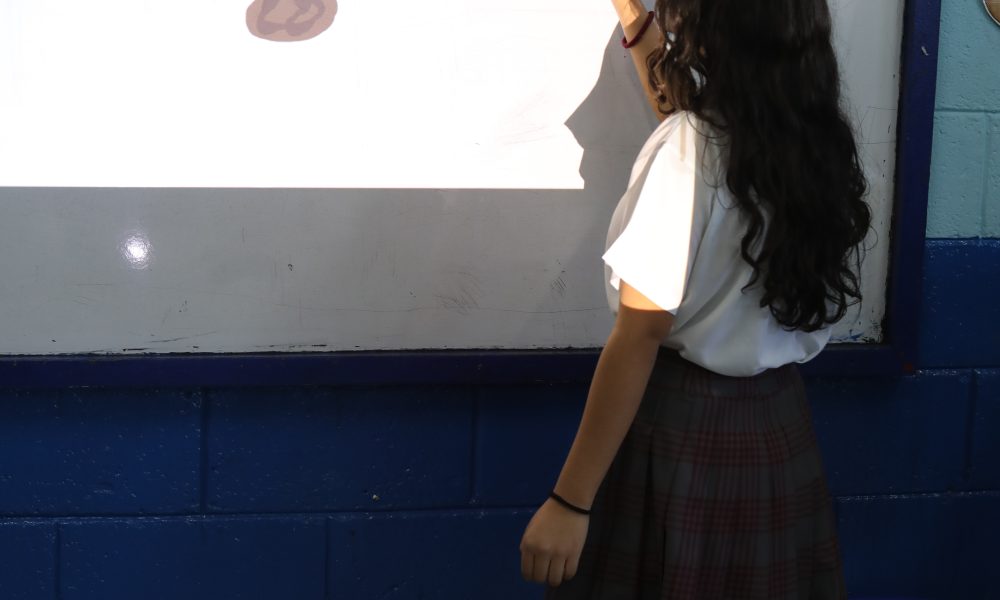 Facilitam a aprendizagem com ambientes virtuais – Diario de Centro América