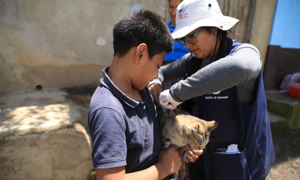 Deadline Extended for 2023 Canine Rabies Vaccination Day: Mass Immunization for Dogs and Cats